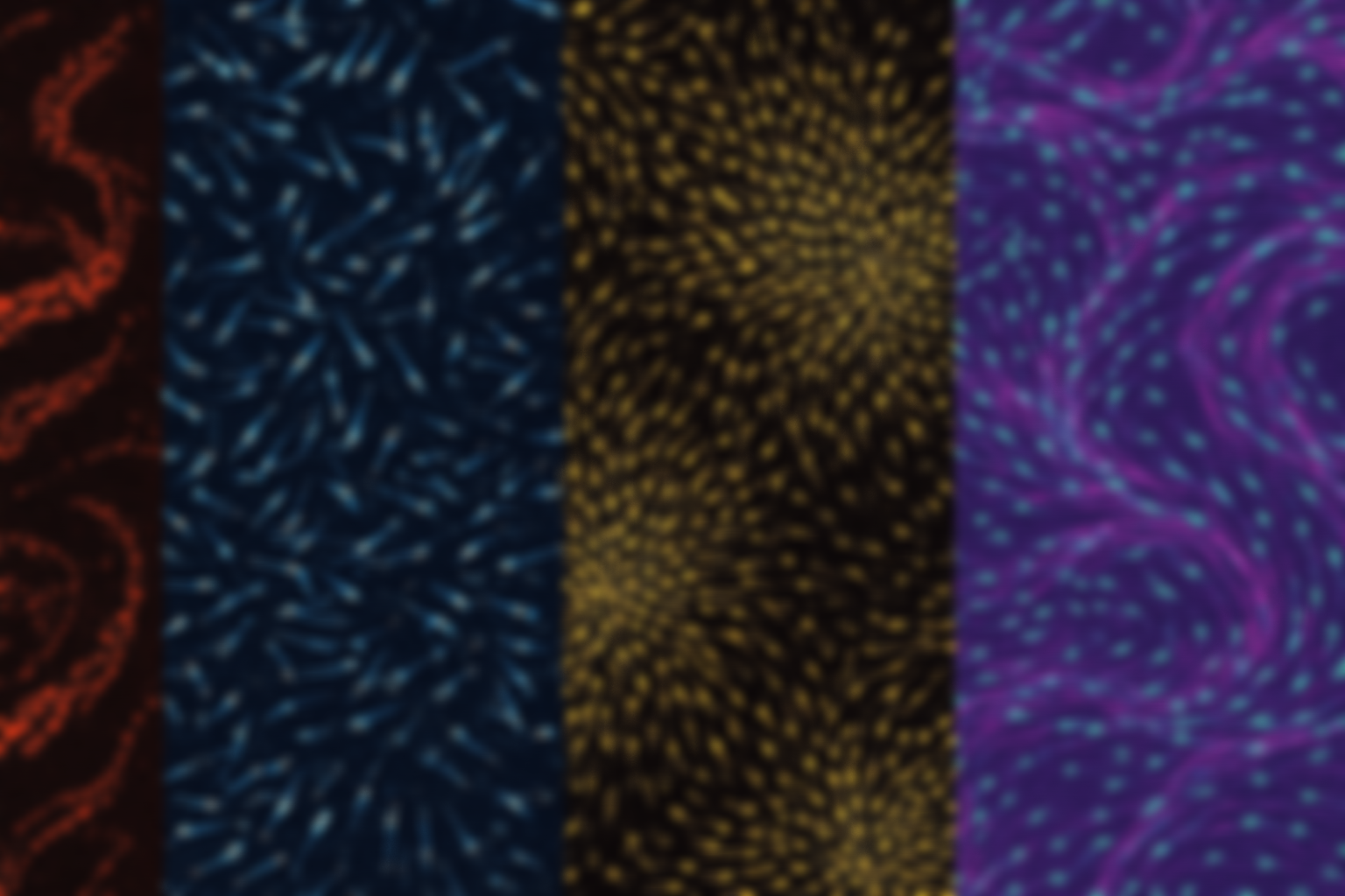 Swarm Nexus banner